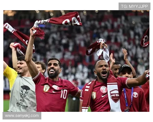 荷兰队与爱沙尼亚全场比赛精彩回顾及精彩瞬间分析