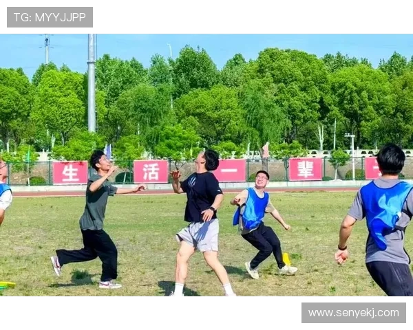 成都飞盘队的配合变革引发热议探索团队协作的新模式与挑战