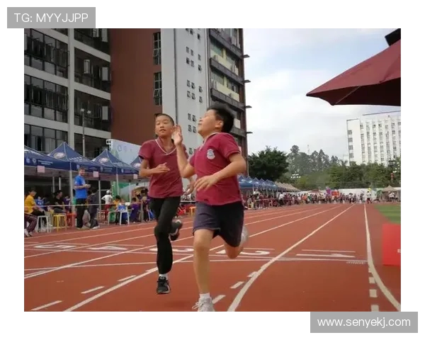 杭州滑板队个人能力排名创历史新高展现年轻力量与团队精神